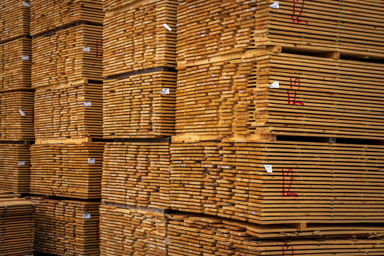 Dimensional pallet lumber stacks with grading marks in lumber yard
