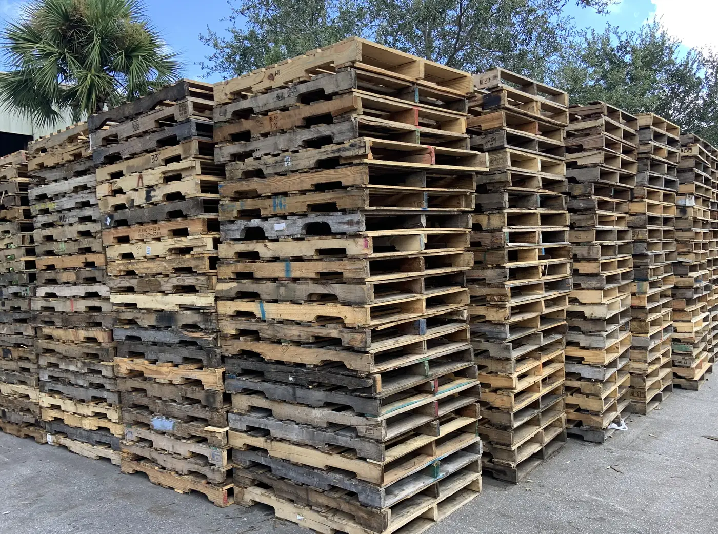 National pallet supply yard outdoor stock